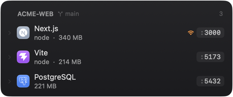 Local servers grouped under their project and branch with ports